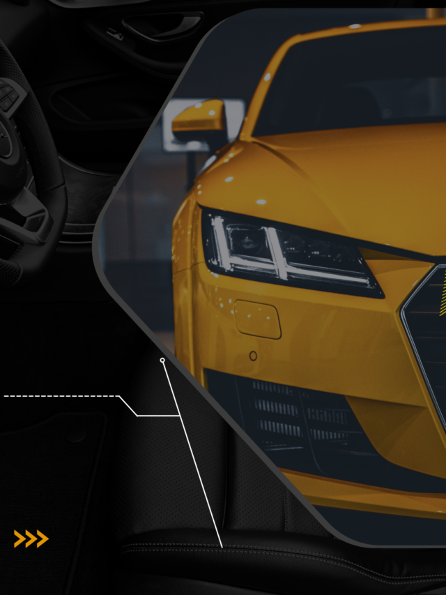 Canadian-Driver's-License