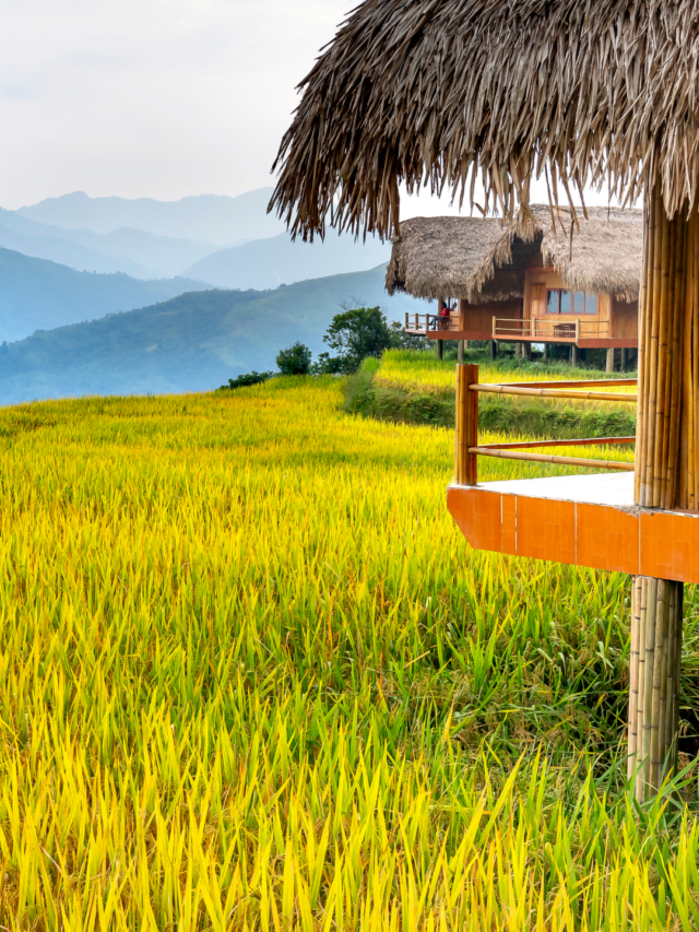 Alberta rural renewal stream program