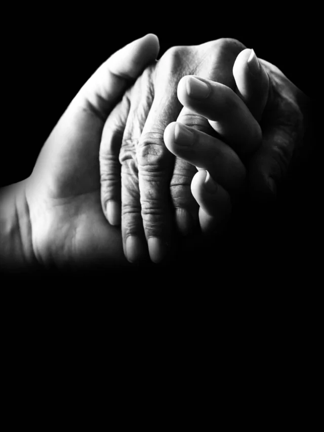 Community services and support for newcomers